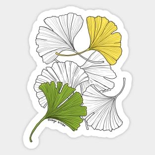 Ginkgo Leaves-gray Sticker